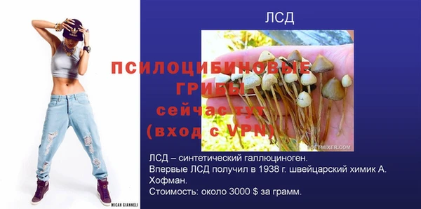 мяу мяу мука Медвежьегорск