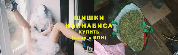 амф Мегион