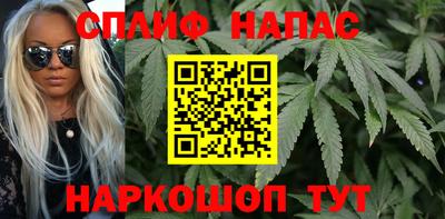 МДПВ Кингисепп
