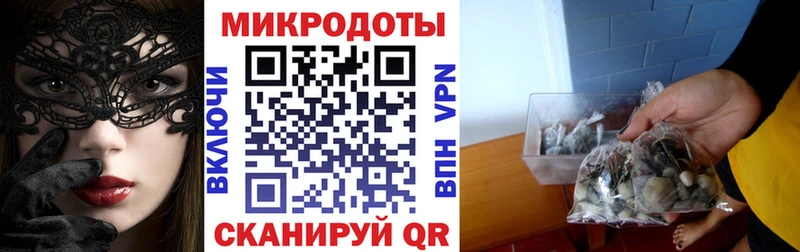 купить наркотики цена ссылка на мегу ссылка Галлюциногенные грибы Cubensis Юрга