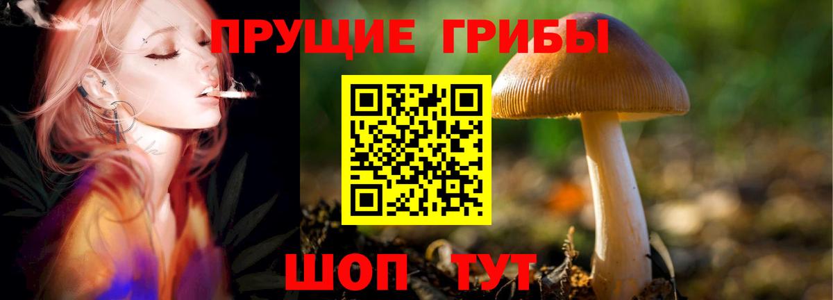 Псилоцибиновые грибы мицелий Юрга